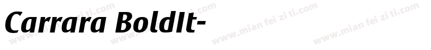 Carrara BoldIt字体转换